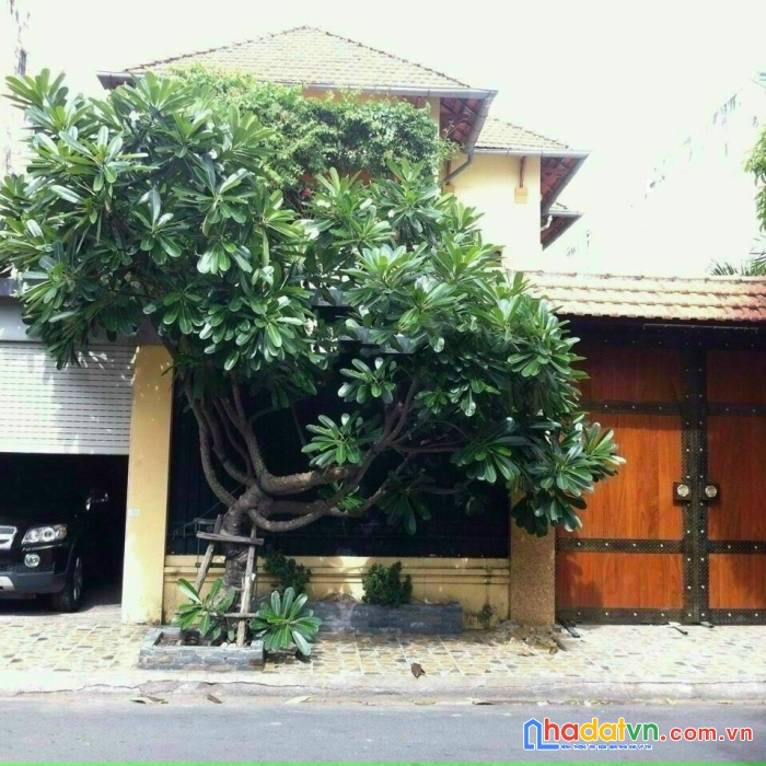 Biệt thự mt ngô bệ, p.13, tân bình