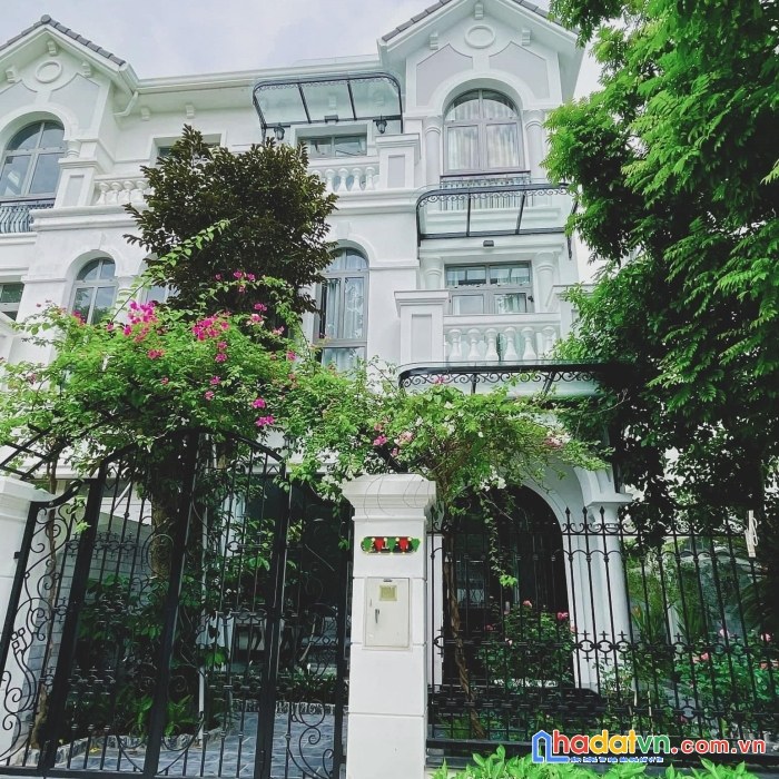 Biệt thự thang máy geleximco hà đông, 266m2, mt14m, công viên, 19.8 tỷ
