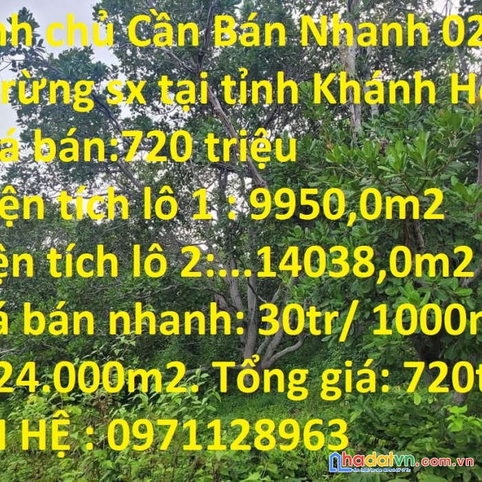 Chính chủ cần bán nhanh 02 lô đất rừng sx tại tỉnh khánh hòa