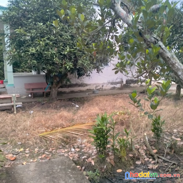 Chính chủ cần bán đất tại đường dx 141, phường tân an, thủ dầu một, bình dương.