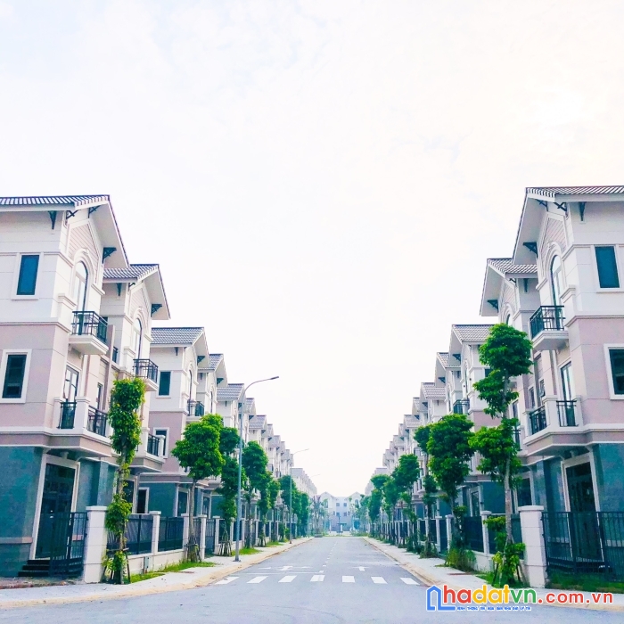 Chính chủ cần bán biệt thự song lập, giá siêu rẻ, chỉ 50tr/m²
