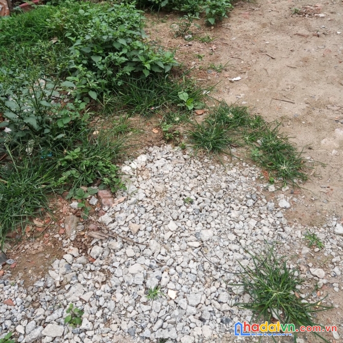 Bán gấp đất xuân đỉnh  đầu tư chia lô, xây ccmn, homestay, văn phòng, 261m chỉ 14.7  tỷ