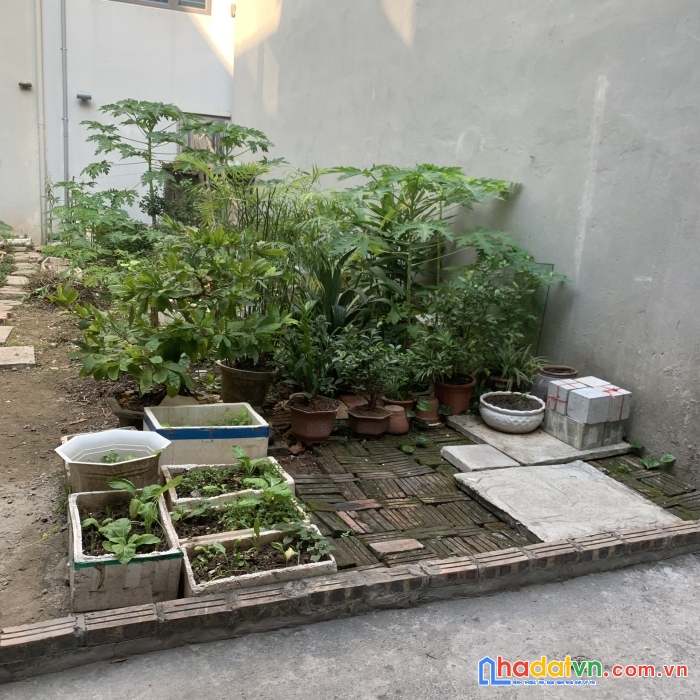 Nhỉnh 3 tỉ 38m ngọc thụy,ngõ ô tô.phân lô quân đội.ngõ thông. an sinh đỉnh.