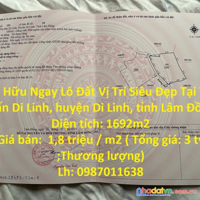 Sở hữu ngay lô đất vị trí siêu đẹp tại di linh – giá đầu tư.