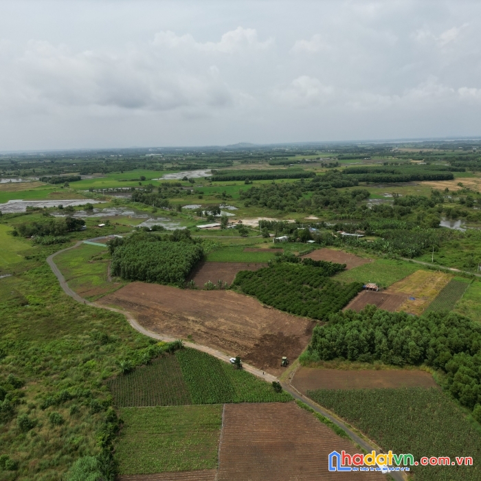 Bán đất thích hợp vừa làm nhà vườn vừa làm kênh đầu tư trung hạn tại bà rịa vũng tàu