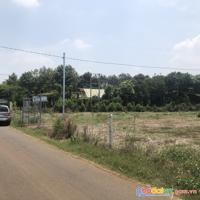 Chính chủ cần bán 3 sào đất liền kề vị trí đẹp tại đồng nai