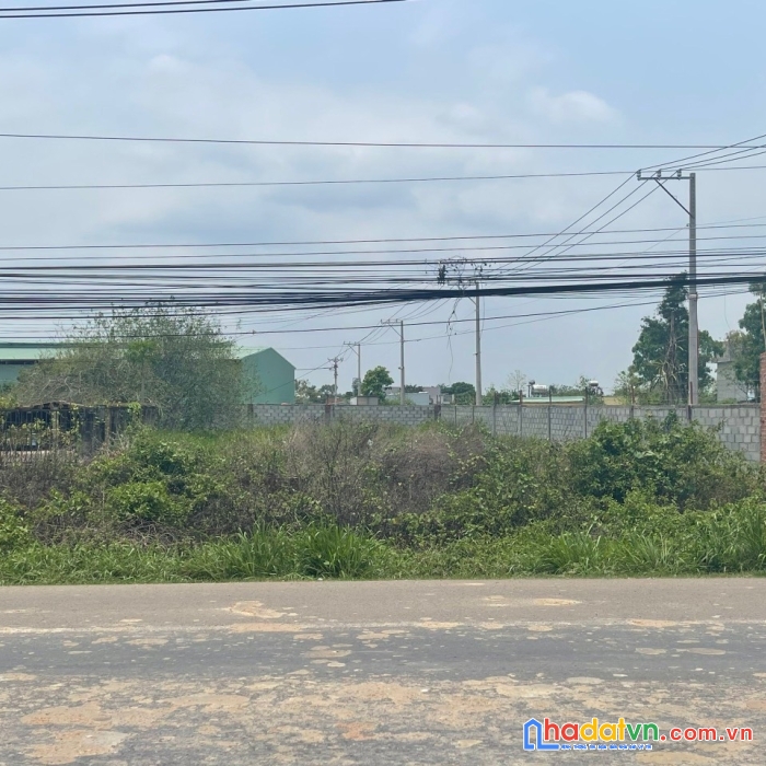 Đất mặt tiền đường kinh doanh đa nghề tại xuân phú - xuân lộc