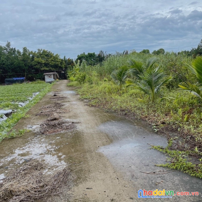 Bán 2 lô đất bình quận bình thủy, tp cần thơ