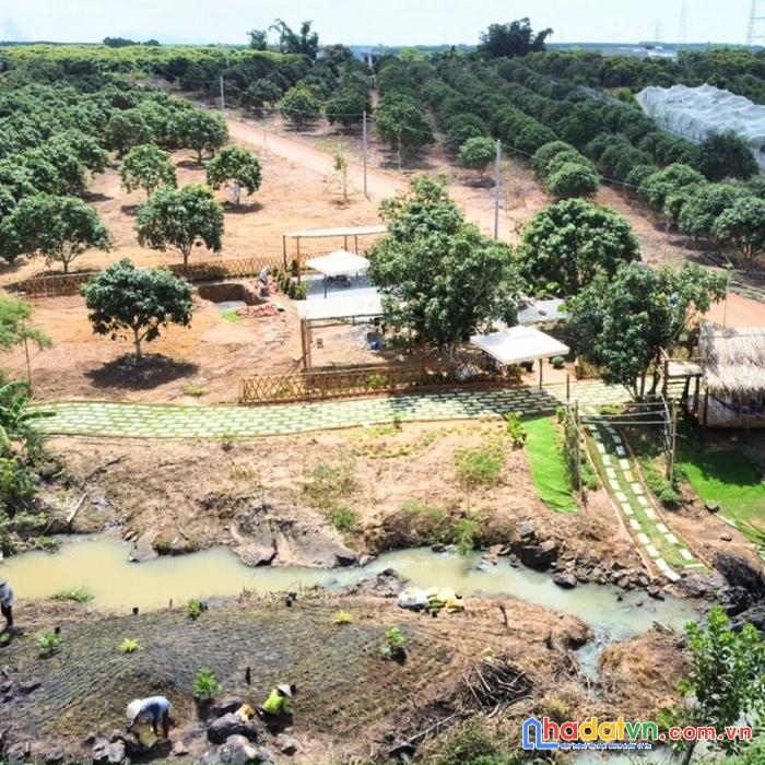 Còn 2 duy nhất diện tích hơn 1.000m2 có suốiị để làm nhà vườn nghĩ dưỡng ở bình châu