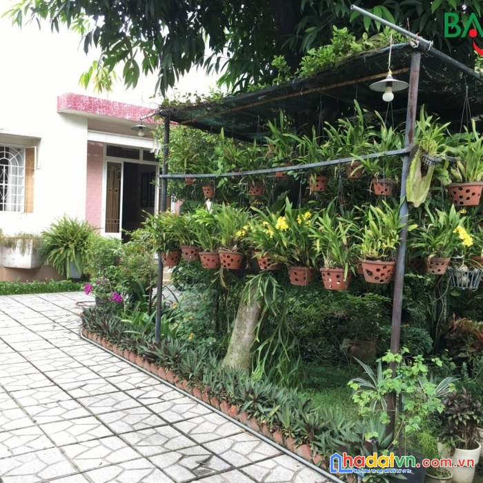 Chủ cần bán nên giảm 200tr từ 8ty7 xuống 8ty5
cần bán nhà vườn mini p. an bình dt 200m2 đường