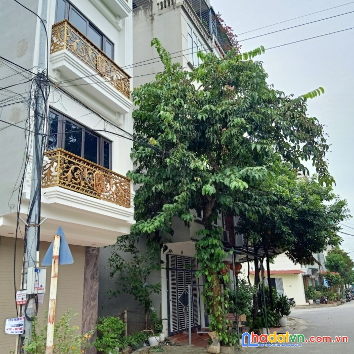 Siêu phẩm phố mới tu hoàng phân lô vỉa hè kinh doanh ô tô ra vào dt 40m2 4 t giá nhỉnh 6 tỷ