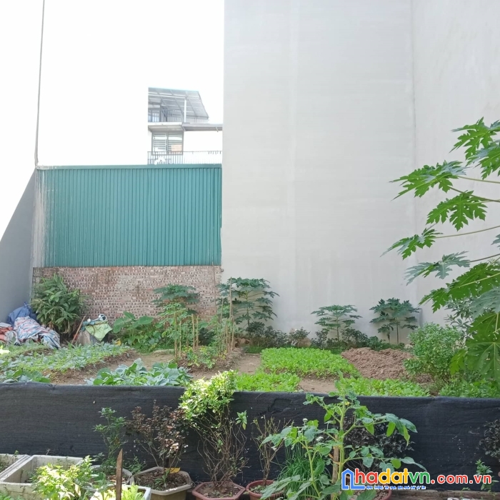 Bán đất dịch vụ yên nghĩa khu a sát ql6, 50m2, mt5m, 5.1 tỷ