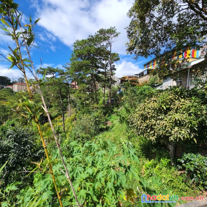 Cần bán gấp lô đất sổ riêng view đẹp ở đặng thái thân, phường 3, tp. đà lạt, giá 36,3 tỷ