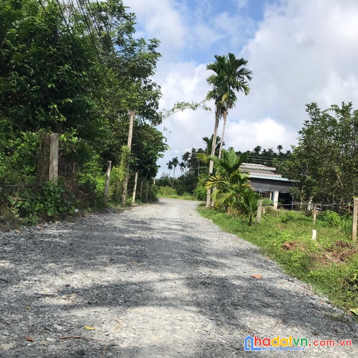 Đất cây da hiệp thạnh,5x25 full thổ giá chỉ 545tr bao đầu tư