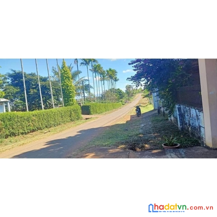 ❌ ngộp ngân hàng chính chủ cần bán lô đất mặt đường nguyễn biểu- tổ 1- phường chi lăng- pleiku-