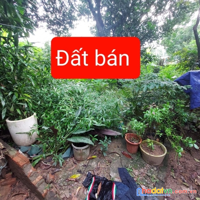 Bán đất ngõ độc lập - long biên - ô tô vào - thoáng mát - 34m2 - mt3.4m - 1.3 tỷ