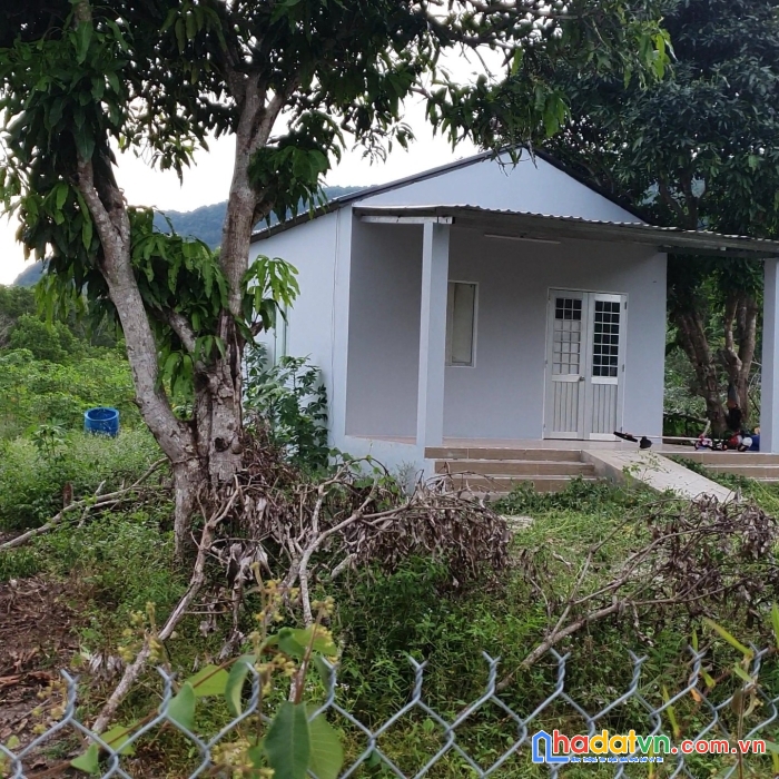 Bán đất chính chủ tại thành phố phú quốc