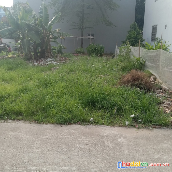 (đất đường ô tô) cần bán 54m2 đất xã vân nội, đông anh, hn. đường ô tô ngõ thông