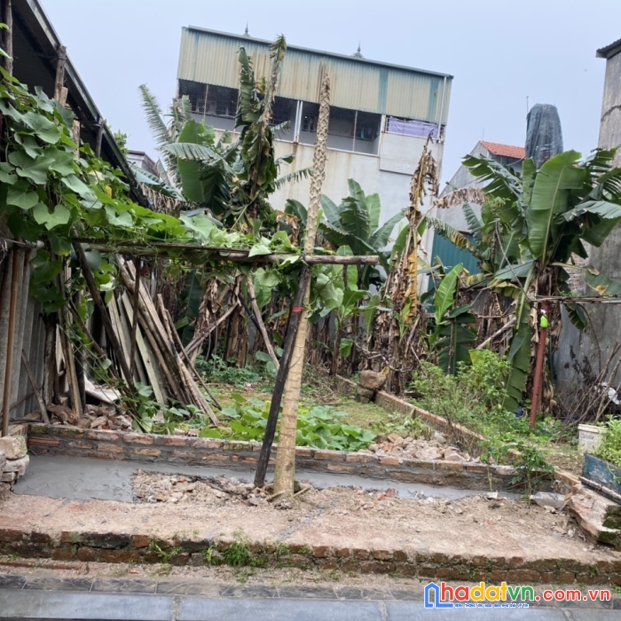 (đất thị trấn) cần bán 64m2 tại tổ 19 thị trấn đông anh, đông anh. đường ô tô ngõ thông.