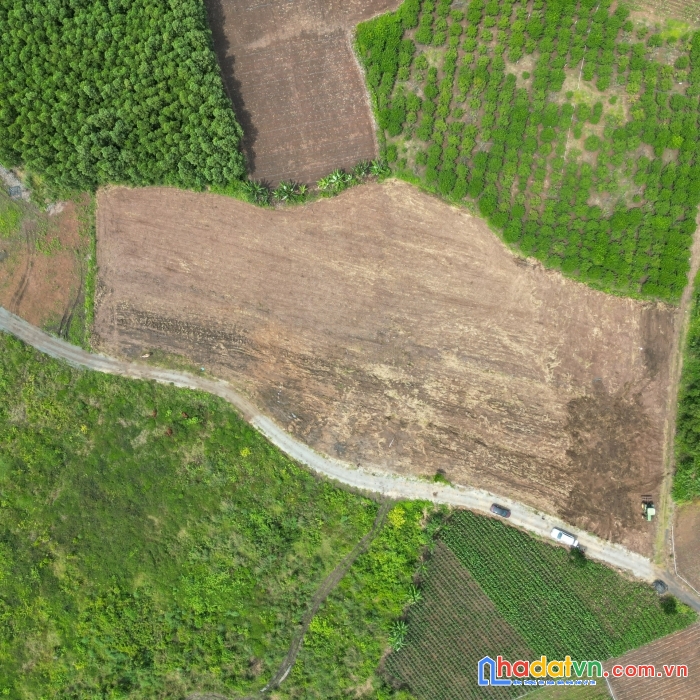 Bán mảnh  đất vườn 1000m2 ngay trung tâm huyện đất đỏ , bà rịa vũng tàu giá rẻ chỉ 1 tỷ 450