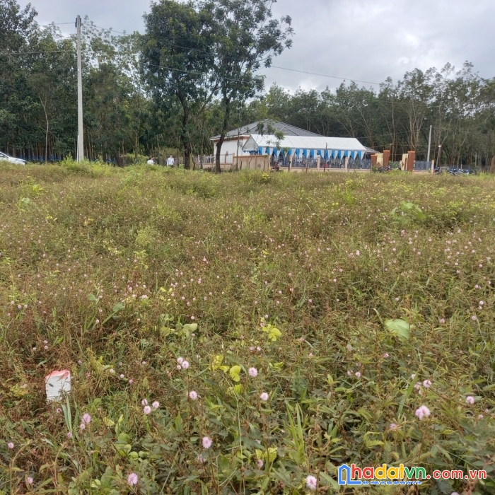 Cần bán lô đất vị trí đẹp tại ,huyên lôc ninh, bình phước