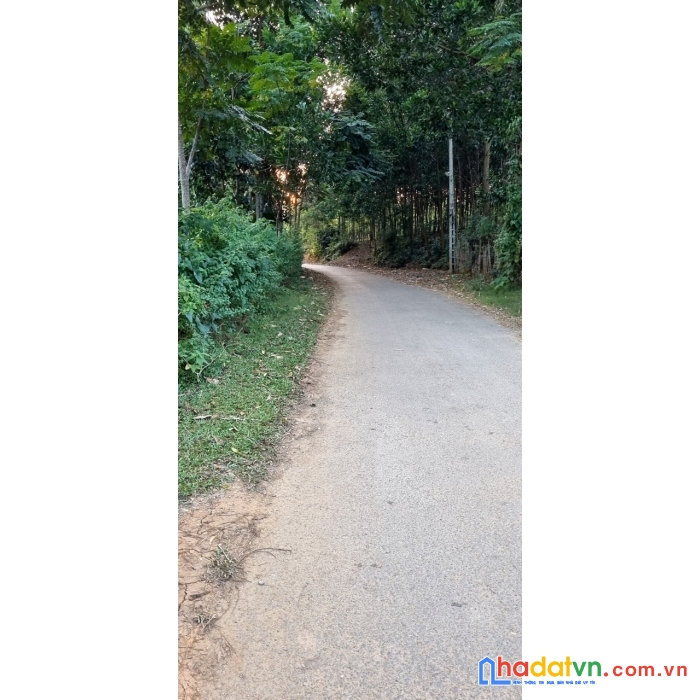 Bán đất đẹp  tại xã yên nghiệp huyện lạc sơn tỉnh hòa bình
