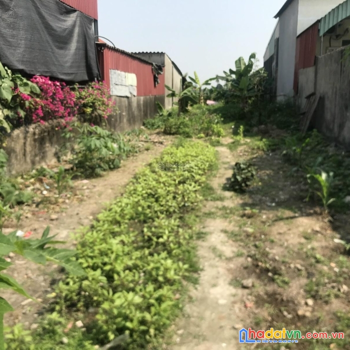 Chính chủ cần bán đất tại kiến thụy, hải phòng