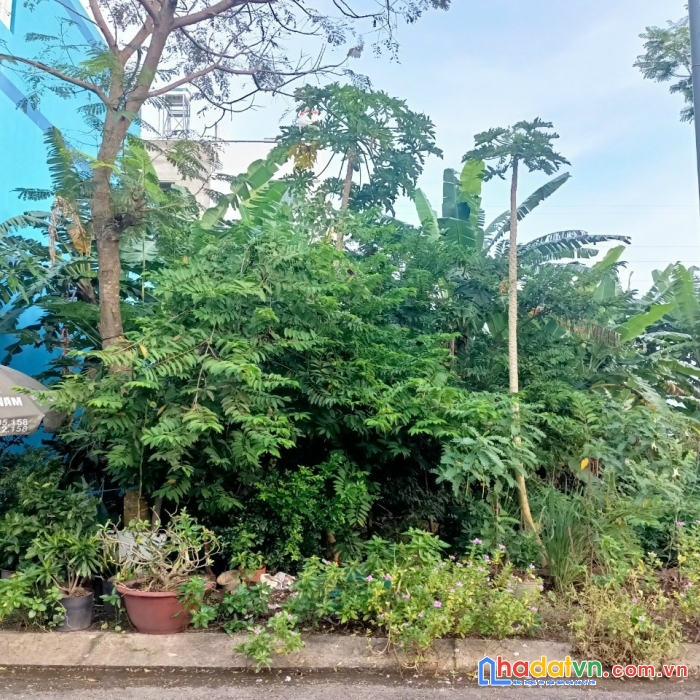 Bán nhanh lô đất nền hợp đồng 100m2 giá 54 triệu/m2  dự án khang điền bình chánh, khu dân cư phong