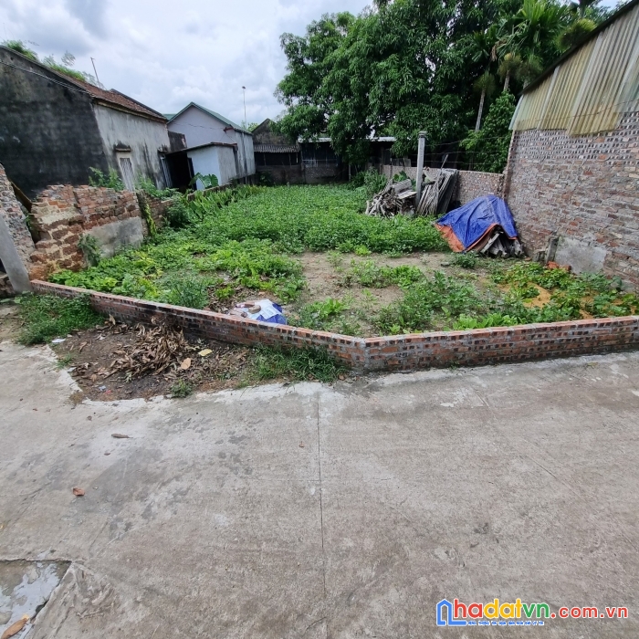 Chủ bán cắt lỗ . 255m full thổ cư tại thanh trí - minh phú . giá 7,5tr/m