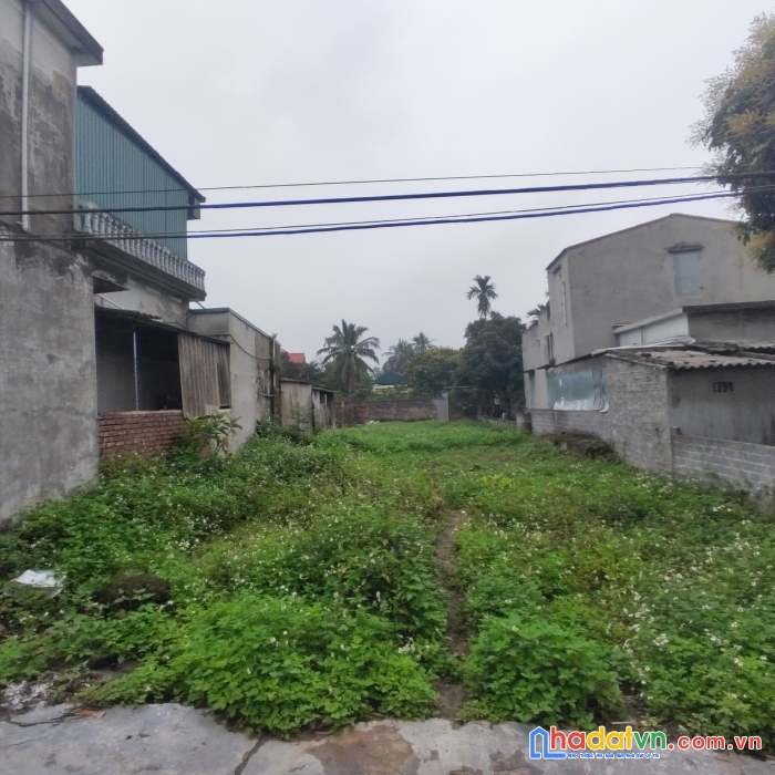 Chính chủ bán nhanh lô đất tứ kỳ, hải dương dt 144m2, giá 1.1 tỷ bao phí sang tên, lh 0983291128