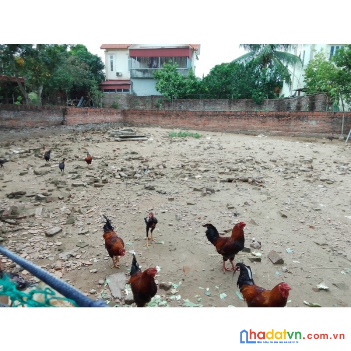 Bán đất lệ chi - long biên - ô tô vào - thoáng mát - 330m2 - mt15m - nhỉnh 4 tỷ