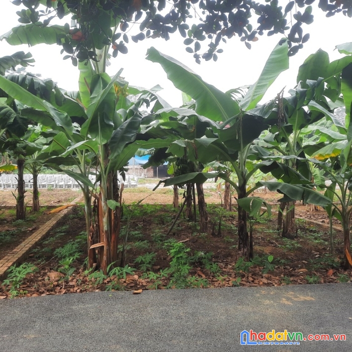 Chính chủ tôi cần bán 68m thôn 2 tân xã