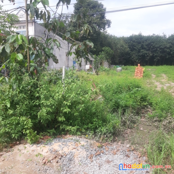 Sở hữu ngay 2 lô đất liền kề tại phú an, bến cát, bình dương.