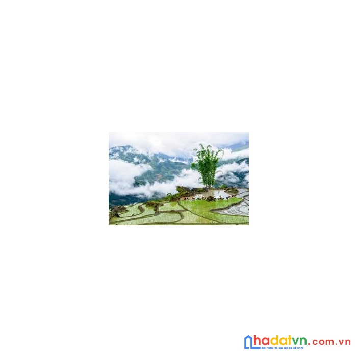 Siêu phẩm đất nền y tý - sapa2, giá rẻ tiềm năng tăng giá cao...