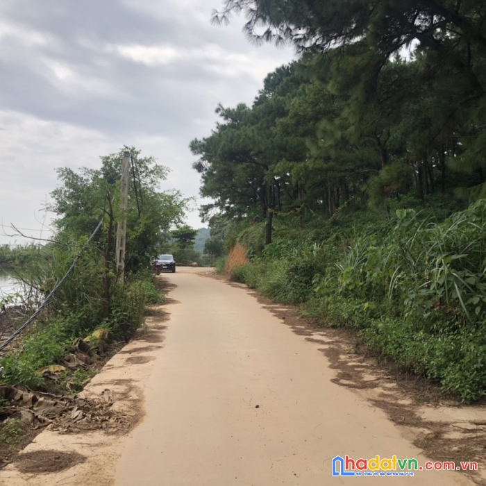 Đất nghỉ dưỡng, sóc sơn, hà nội. lh 0963886233