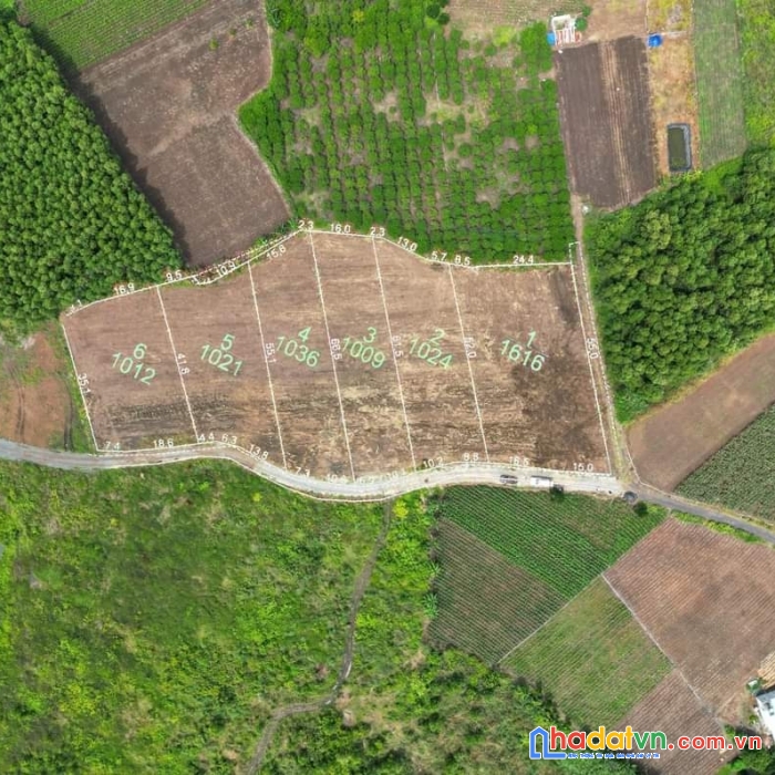 Đất vườn ngay trung tâm thị trấn đất đỏ - bà rịa vũng tàu giá chỉ 1 tỷ 450