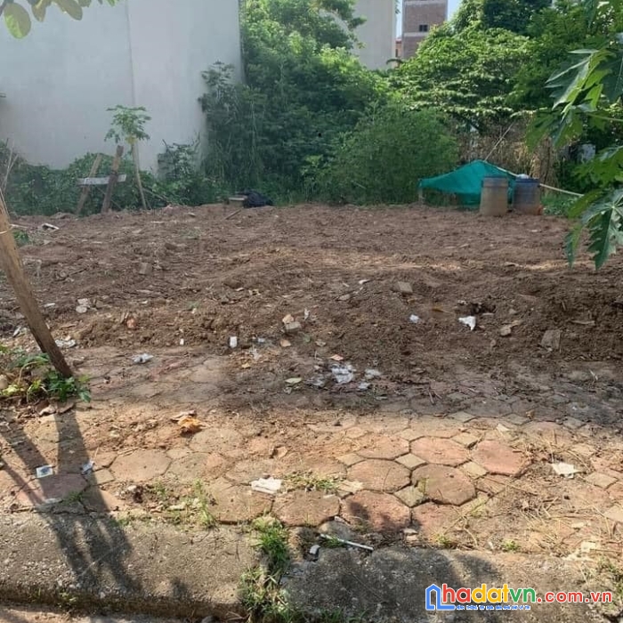 Bán đất dịch vụ dương nội, hà đông, 50m2, mt5m, đông nam, 5.1 tỷ