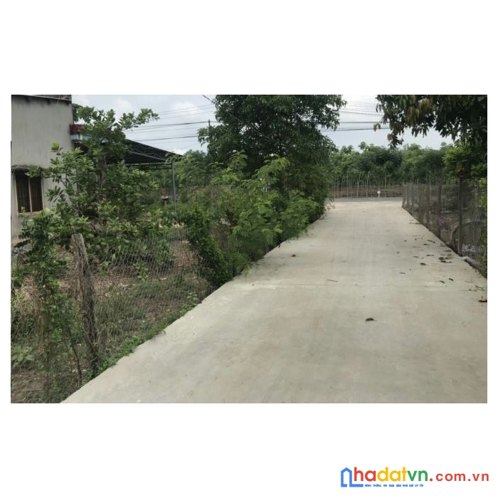 Chính chủ cần bán gấp 1112m2 giá 470 triệu