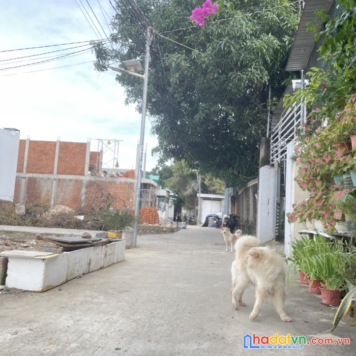 Cần bán đất thổ cư phú thạnh, vĩnh thạnh, nha trang gần bệnh viện giao thông vận tải chỉ từ 1 tỷ