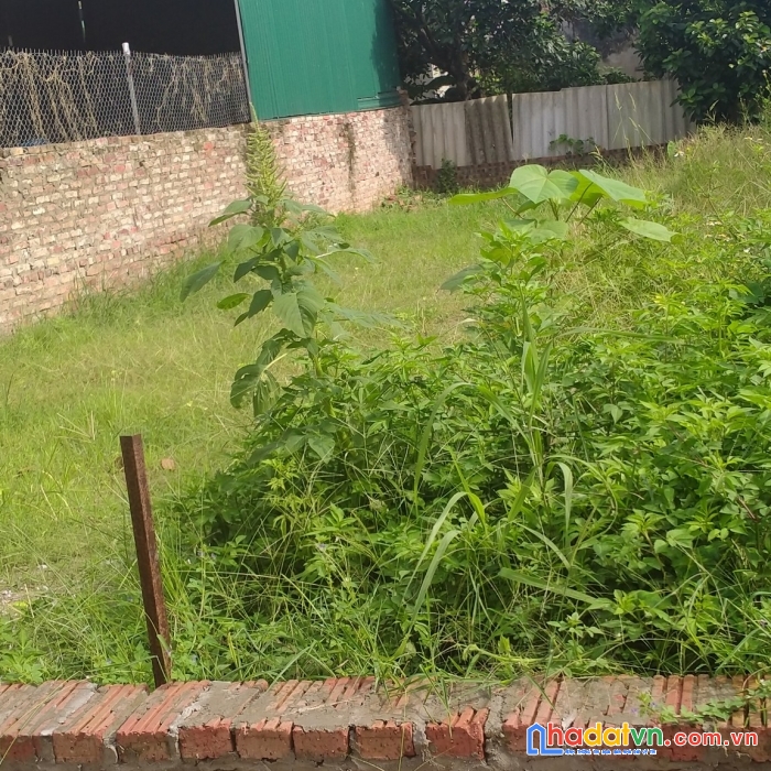 Chủ bán 95m² đất lương quy, đông anh, ôtô, thông, nhỉnh 3 tỷ