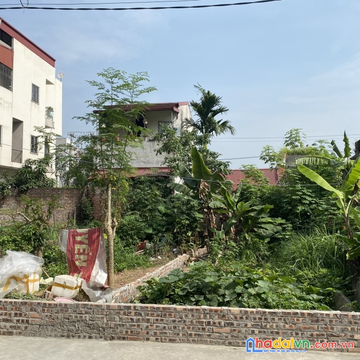 Nhỏ xinh và vị trí đẹp tại lê xá, xã mai lâm, huyện đông anh, thành phố hà nội.