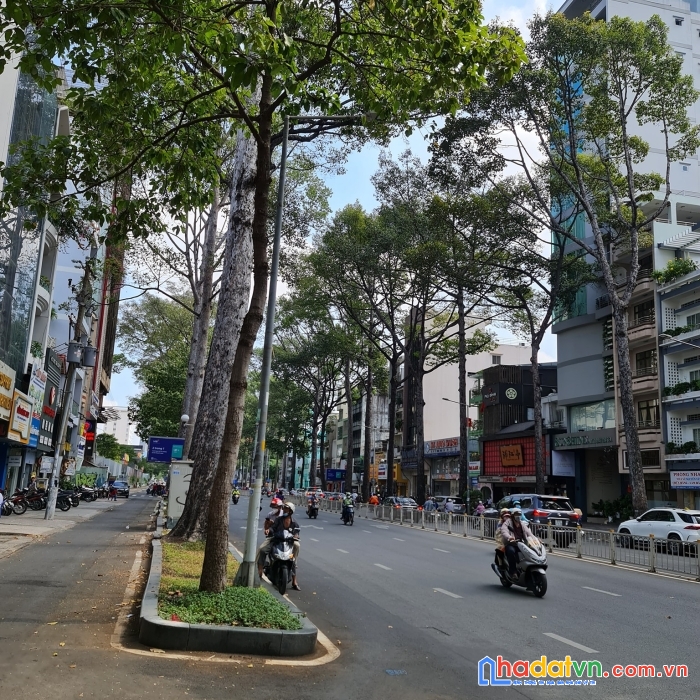 Siêu phẩm mặt tiền trung tâm quận nhất, đất vàng đẻ kim cương, 68m2 giá 529tr/m2.