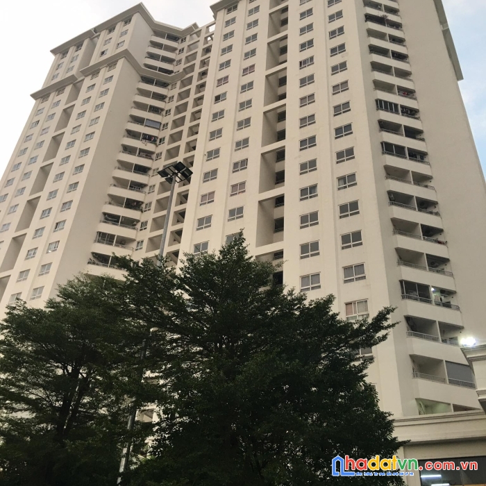 Bán căn hộ 2 ngủ diện tích 81m2 tại kđt tứ hiệp. giá 2,3 tỷ - đã làm sổ. lh: 0338713251