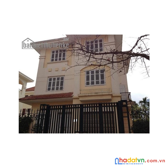 Vỡ nợ bán gấp biệt thự lão thành cách mạng 400m2