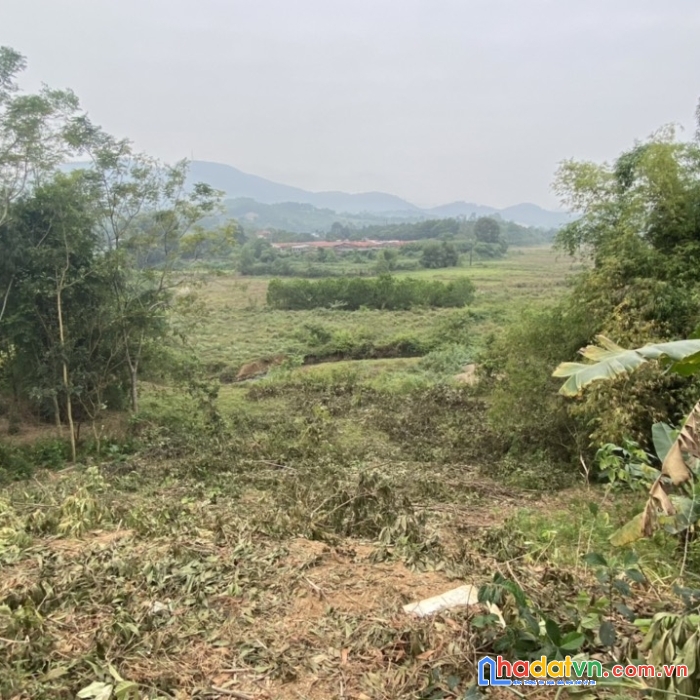 Cần chuyển nhượng mảnh đất 1037m 250m đất odt  tại thị trấn lương sơn - hòa bình