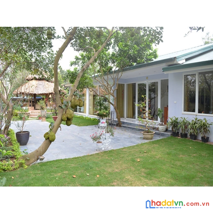 Cho thuê nhà vườn vại phố an dương, phường yên phụ, tây hồ, hà nội