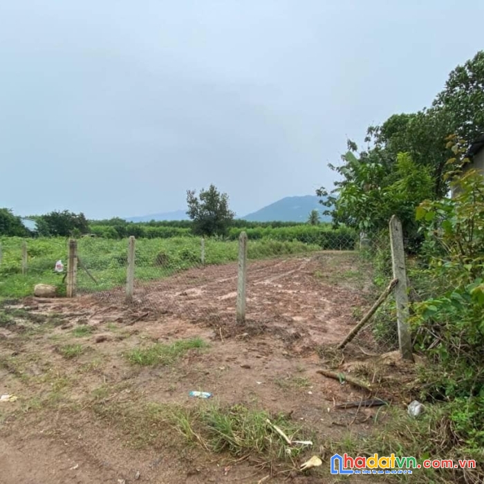 Bán lô đất diên xuân diên khánh giá rẻ phù hợp làm biệt thự vườn