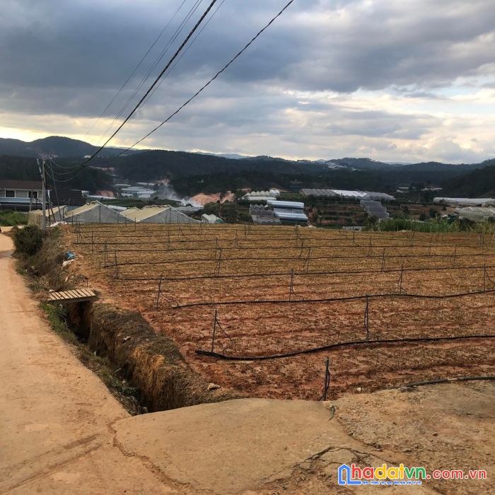 Cần bán gấp đất view thoáng đường cao thắng, đà lạt 108m2 đất giá rẻ 1.3 tỷ