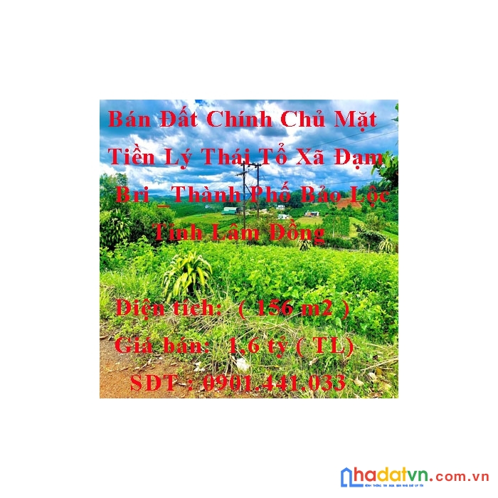 Bán đất chính chủ mặt tiền lý thái tổ _view đẹp _ 1,6 tỷ