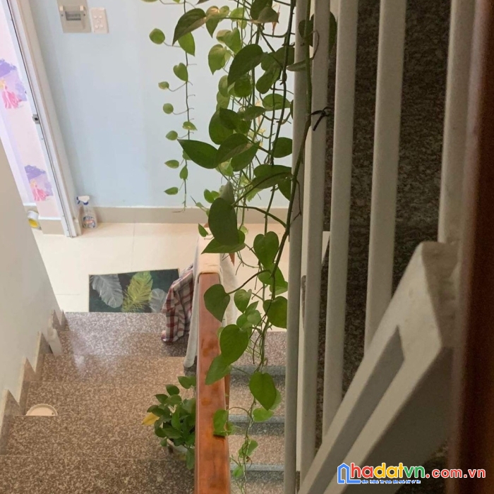 Nhà đẹp 56m2 hxh ngang 4m long trường quận 9. cực rẻ chi 3ty7 tl.